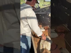 PT290 LF قارئ علامة الأذن الماشية قارئ عصا RFID