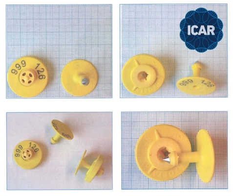 ICAR كاملة غير مشتركة ICAR Code علامات الأذن الإلكترونية لتربية الحيوانات وإدارتها مع قارئ BLE