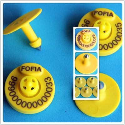 Electronic Ear Tags Designed for Livestock Identification and Tracking Improving Farm Animal Management and Productivity