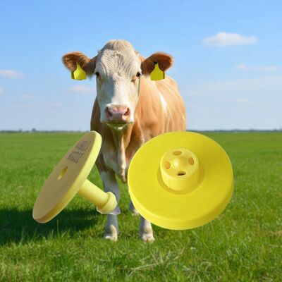 علامة أذن الماشية الإلكترونية المقاومة للماء TPU مع شهادة ISO11784/5 FDX-B وتردد 134.2kHz لتحديد الماشية