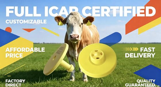 علامات الأذن الإلكترونية الدائمة FDX-B المعتمدة بالكامل من ICAR لتتبع الماشية وتحديدها