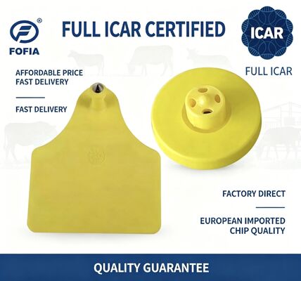 كامل ICAR ET908+T905 RFID مقاوم للماء TPU علامات الأذن الحيوانية الصفراء FDX-B 134.2Khz EM4305 رقائق الماشية