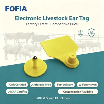 TPU Fofia ICAR T904 علامة أذن الماشية للماشية والأغنام والخنزير والبقر والماعز