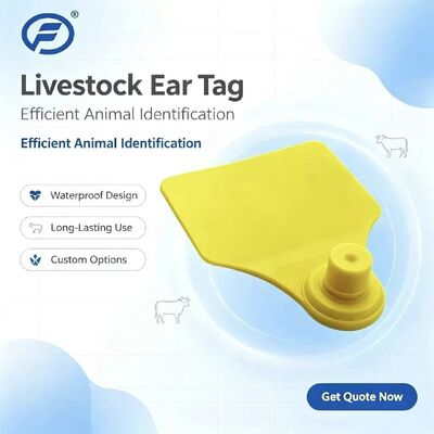 شريحة بطاقة أذن الحيوان ICAR Fofia T904 جديدة عالية الجودة RFID TPU ترميز ليزر ضمان 3 سنوات للاستخدام في المزرعة لتتبع الماشية