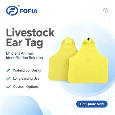 ICAR T904+T905 مزيج تعقب الحيوانات علامة أذن جديدة RFID TPU بلاستيك 70 * 57mm تشفير الليزر 3 سنوات الضمان استخدام المزرعة الماشية