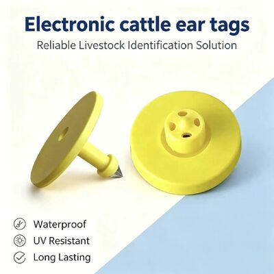 بطاقات أذن حيوانات ICAR ET908+T901 مقاومة للماء RFID LF TPU صفراء جديدة 14.5 مم رقائق EM4305 ضمان 5 سنوات للأبقار Fofia