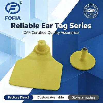بطاقة أذن حيوان مقاومة للماء ICAR Fofia T904+T901 عالية الجودة RFID TPU 72*57 مم ترميز ليزر ضمان 3 سنوات للاستخدام في المزرعة
