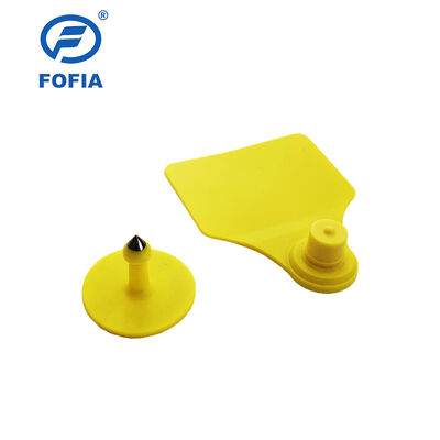 بطاقة أذن حيوان مقاومة للماء ICAR Fofia T904+T901 عالية الجودة RFID TPU 72*57 مم ترميز ليزر ضمان 3 سنوات للاستخدام في المزرعة