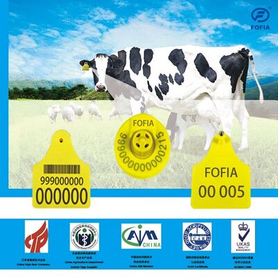 ICAR T904 + T905 مزيج علامة أذن الحيوانات الجودة العالية RFID البلاستيكية TPU 70 * 57mm ترميز الليزر 3 سنوات الضمان تتبع الحيوانات