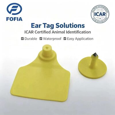 المقاومة للماء ICAR دائمة Fofia T904 + T901 رقاقة علامة الأذن الحيوانية RFID TPU تشفير ليزر 3 سنوات الضمان تتبع الماشية