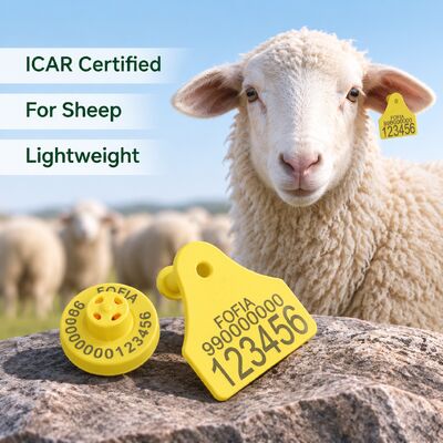 فوفيا كامل ICAR مزيج الخروف الماعز التتبع الإلكتروني علامة أذن جديدة عالية الجودة RFID TPU البلاستيك ليزر الترميز 3 سنوات
