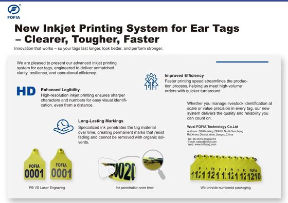 ICAR T904+T905 Combination Cattle Pig Animal Ear Tag New High Quality RFID Plastic TPU 70*57mm Laser Coding Farm 3 Year Warranty
