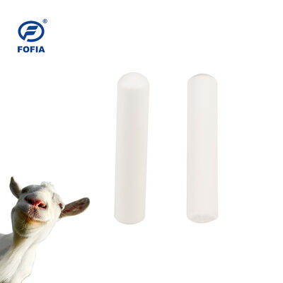 ICAR Certified ET912 RFID Rumen Bolus Electronic Tag FDX-B HDX Temperature Measurement for Cattle and Sheep