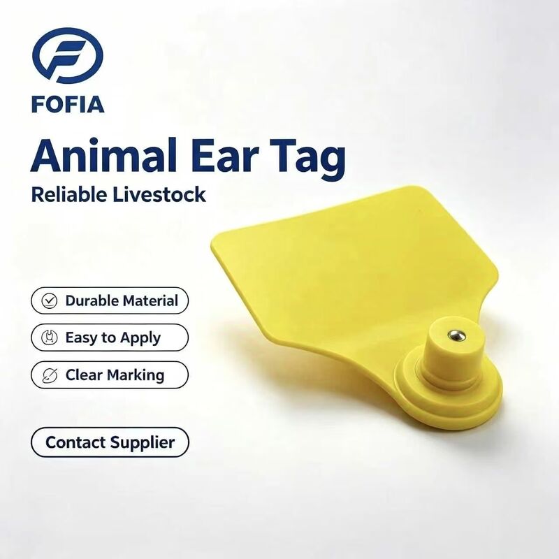بطاقة أذن الحيوان ICAR Fofia T904+T901 جديدة عالية الجودة من مادة TPU بتقنية RFID بمقاس 72*57 مم مع ترميز ليزر وضمان 3 سنوات للاستخدام في المزارع للأبقار