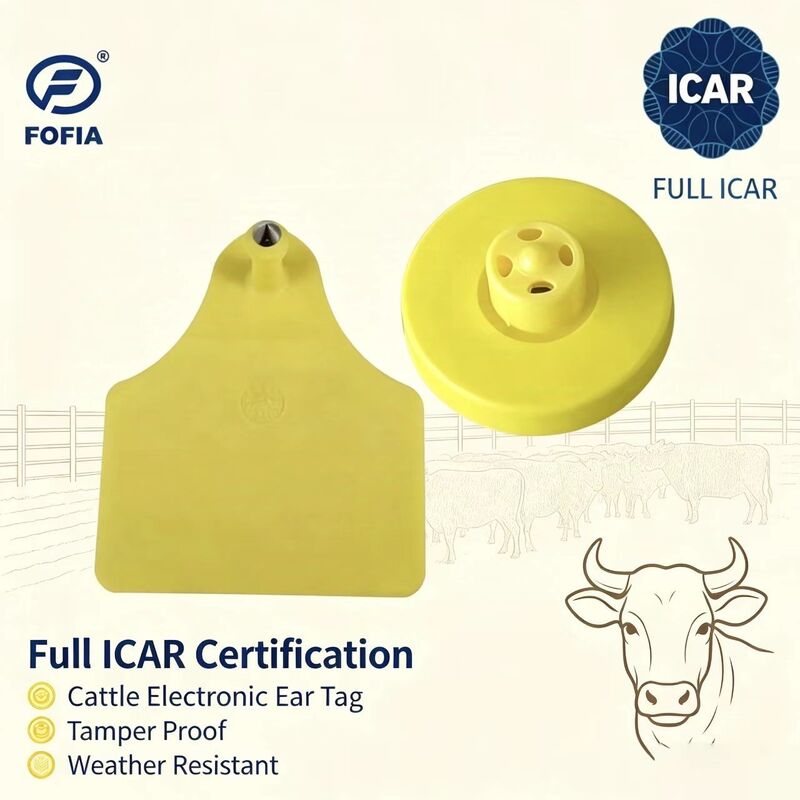 بطاقات أذن FOFIA الجديدة الكاملة ICAR متينة مقاومة للماء RFID TPU صفراء LF ET908+T905 رقائق مزرعة ضمان 5 سنوات للأبقار 14.5 مم