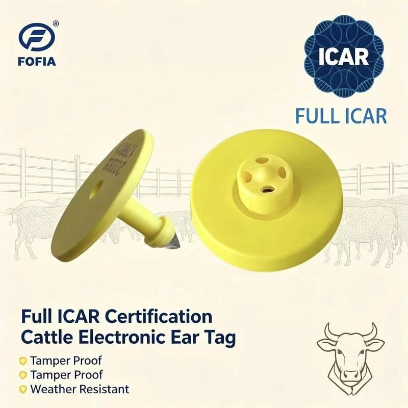 بطاقة أذن بقرة Fofia مقاومة للماء معتمدة بالكامل من ICAR ET908 صفراء RFID TPU ضمان جودة عالية لمدة 1.5 سنة لتربية الحيوانات