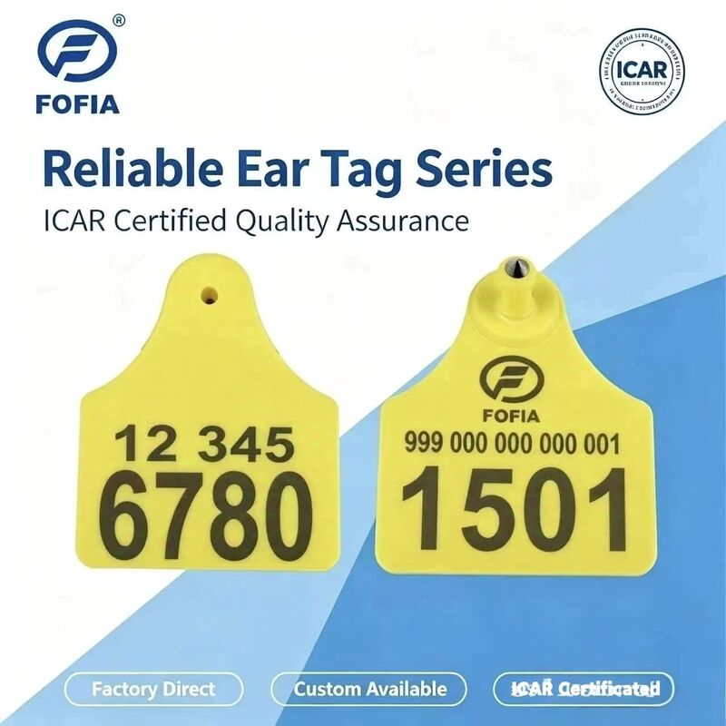 ICAR T904 + T905 مزيج علامة أذن الحيوانات الجودة العالية RFID البلاستيكية TPU 70 * 57mm ترميز الليزر 3 سنوات الضمان تتبع الحيوانات