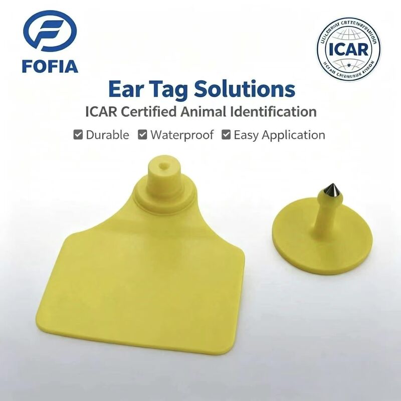 المقاومة للماء ICAR دائمة Fofia T904 + T901 رقاقة علامة الأذن الحيوانية RFID TPU تشفير ليزر 3 سنوات الضمان تتبع الماشية